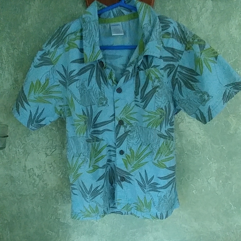 Cute boys tiger shirt